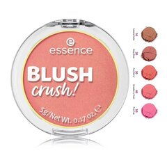 Skaistalai Essence Blush Crush! 5 g kaina ir informacija | Bronzantai, skaistalai | pigu.lt