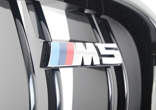 Centrinės grotelės BMW, 1 vnt. kaina ir informacija | Auto reikmenys | pigu.lt