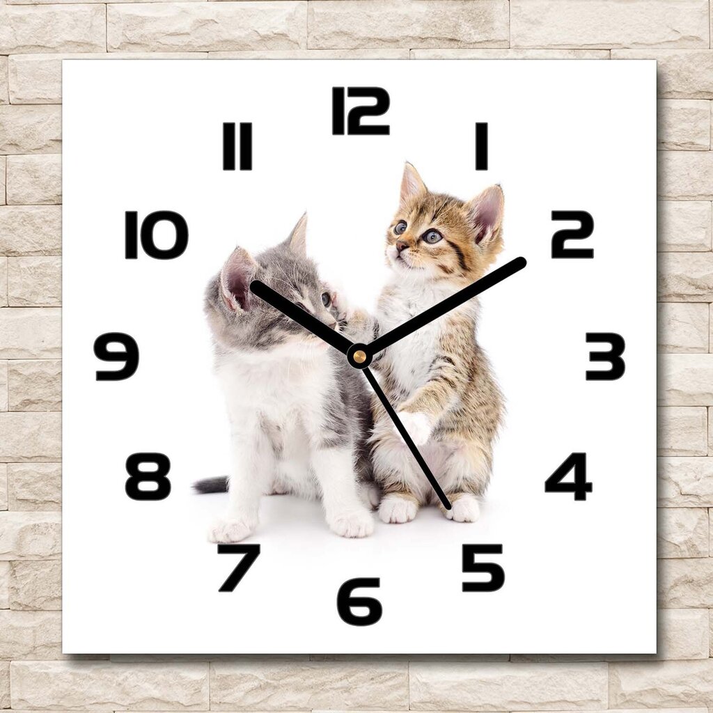 Sieninis laikrodis Dvi mažos katės цена и информация | Laikrodžiai | pigu.lt