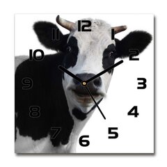 Sieninis laikrodis Karvė kaina ir informacija | Laikrodžiai | pigu.lt