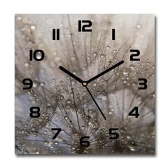 Sieninis laikrodis Kiaulpienių sėklos kaina ir informacija | Laikrodžiai | pigu.lt