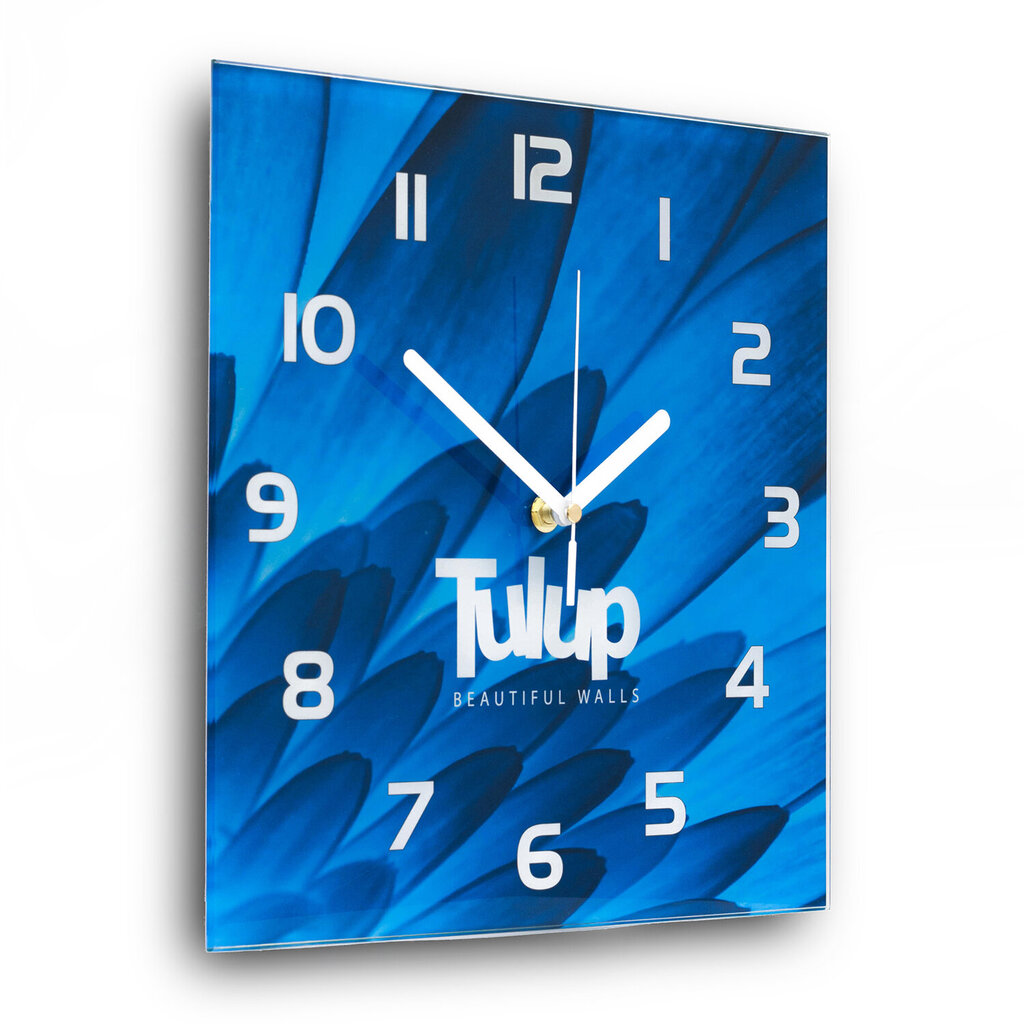 Sieninis laikrodis Žolelės ir prieskoniai kaina ir informacija | Laikrodžiai | pigu.lt