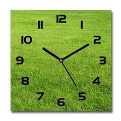 Sieninis laikrodis Žalia žolė kaina ir informacija | Laikrodžiai | pigu.lt