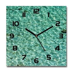 Sieninis laikrodis Skaidrus vanduo цена и информация | Часы | pigu.lt