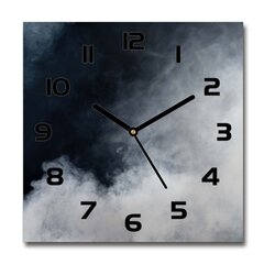 Sieninis laikrodis Balti dūmai kaina ir informacija | Laikrodžiai | pigu.lt