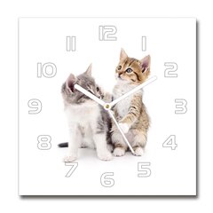 Sieninis laikrodis Dvi mažos katės kaina ir informacija | Laikrodžiai | pigu.lt