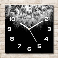Sieninis laikrodis Kiaulpienių sėklos kaina ir informacija | Laikrodžiai | pigu.lt