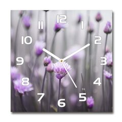 Sieninis laikrodis Česnako žiedai kaina ir informacija | Laikrodžiai | pigu.lt