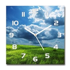 Sieninis laikrodis Debesys virš lauko цена и информация | Часы | pigu.lt