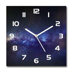 Sieninis laikrodis Paukščių takas kaina ir informacija | Laikrodžiai | pigu.lt
