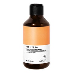 Drėkinamasis šampūnas Elgon Yes Hydra Beauty Shampoo, 250 ml kaina ir informacija | Šampūnai | pigu.lt