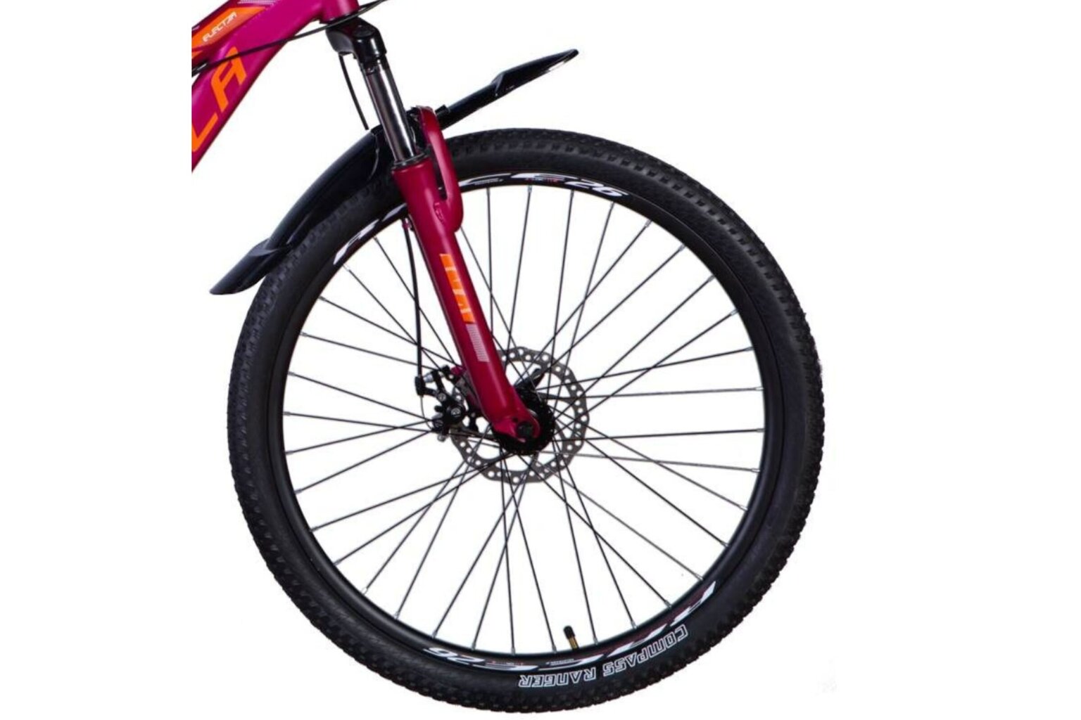 Dviratis MTB Formula Electra Disc 26", rožinis kaina ir informacija | Dviračiai | pigu.lt