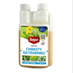 Herbicidas nuo piktžolių Target, 250ml kaina ir informacija | Augalų priežiūros priemonės | pigu.lt