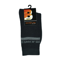 Мужские носки Bisoks 12161 черные цена и информация | Мужские носки | pigu.lt