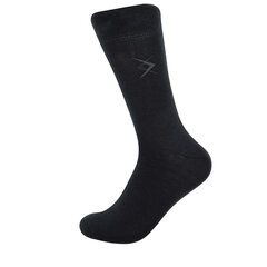 Мужские носки Bisoks 12347 серые цена и информация | Мужские носки | pigu.lt