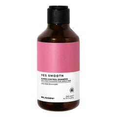 Šilkinis šampūnas Elgon Yes Smooth Super Control Shampoo, 250 ml kaina ir informacija | Šampūnai | pigu.lt