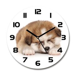Sieninis laikrodis Akita šuniukas kaina ir informacija | Laikrodžiai | pigu.lt