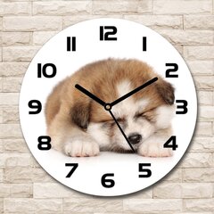Sieninis laikrodis Akita šuniukas kaina ir informacija | Laikrodžiai | pigu.lt