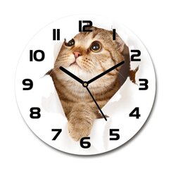 Часы настенные Кот цена и информация | Часы | pigu.lt