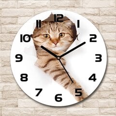 Sieninis laikrodis Katė kaina ir informacija | Laikrodžiai | pigu.lt