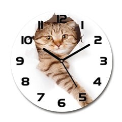 Sieninis laikrodis Katė kaina ir informacija | Laikrodžiai | pigu.lt