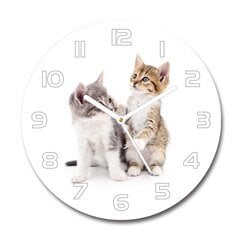 Sieninis laikrodis Dvi mažos katės kaina ir informacija | Laikrodžiai | pigu.lt