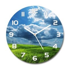 Sieninis laikrodis Debesys virš lauko цена и информация | Часы | pigu.lt