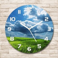 Sieninis laikrodis Debesys virš lauko kaina ir informacija | Laikrodžiai | pigu.lt