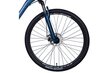 Dviratis MTB Discovery Bastion Disc 29", mėlynas kaina ir informacija | Dviračiai | pigu.lt