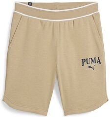 Puma Шорты Squad Shorts 9 Beige 678975 83 678975 83/S цена и информация | Мужские шорты | pigu.lt