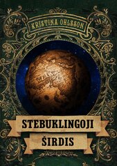 Stebuklingoji širdis цена и информация | Книги для детей | pigu.lt