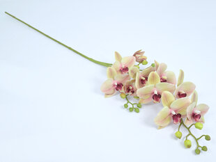 Dirbtinė gėlė - orchidėja Phalaenopsis kaina ir informacija | Dirbtinės gėlės | pigu.lt