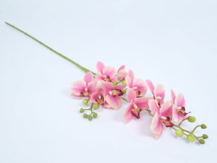 Dirbtinė gėlė - orchidėja Phalaenopsis kaina ir informacija | Dirbtinės gėlės | pigu.lt