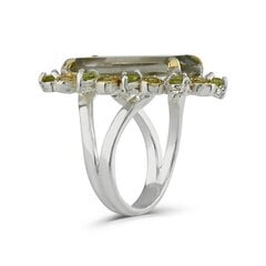 Серебряное (925) кольцо с драгоценными камнями, код f50343, EU-55 (~17,5 мм) F50343EU-55 цена и информация | Кольца | pigu.lt