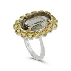 Серебряное (925) кольцо с драгоценными камнями, код f50347, EU-56 (~17,75 мм) F50347EU-56 цена и информация | Кольца | pigu.lt