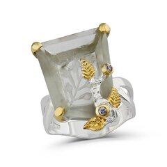 Серебряное (925) кольцо с драгоценными камнями, код f50349, EU-56 (~17,75 мм) F50349EU-56 цена и информация | Кольца | pigu.lt