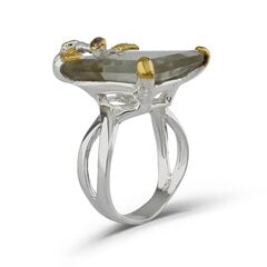 Серебряное (925) кольцо с драгоценными камнями, код f50349, EU-56 (~17,75 мм) F50349EU-56 цена и информация | Кольца | pigu.lt