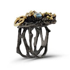 Серебряное (925) кольцо с драгоценными камнями, код f50350, EU-57 (~18 мм) F50350EU-57 цена и информация | Кольца | pigu.lt