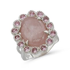 Серебряное (925) кольцо с драгоценными камнями, код f50355, EU-55 (~17,5 мм) F50355EU-55 цена и информация | Кольца | pigu.lt