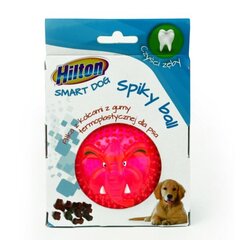 Žaislas šunims Hilton Dog spiky ball, 8 cm kaina ir informacija | Žaislai šunims | pigu.lt