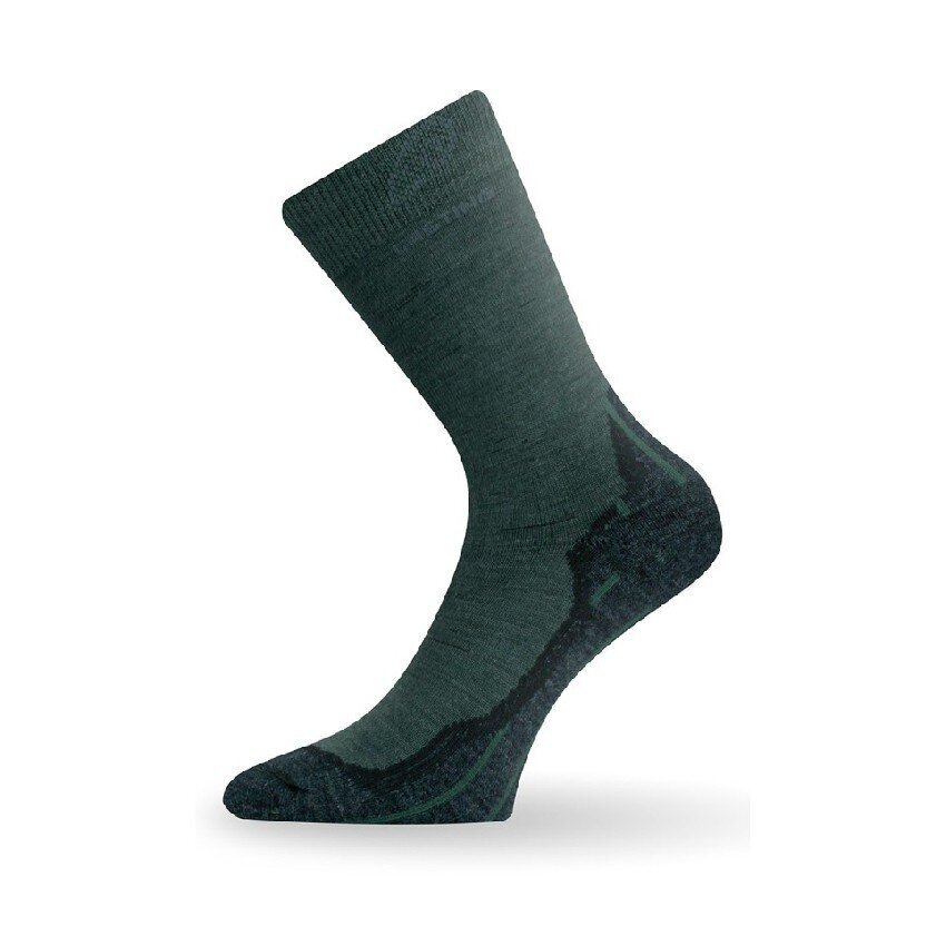 Kojinės vyrams Lasting, žalios kaina ir informacija | Vyriškos kojinės | pigu.lt