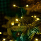 Kalėdinė girlianda 200 LED, 20 m kaina ir informacija | Girliandos | pigu.lt