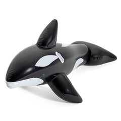 Pripučiamas banginis Bestway 203x102 cm, juodas kaina ir informacija | Pripučiamos ir paplūdimio prekės | pigu.lt
