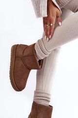 Žieminiai batai moterims Big Star MM274161 795204984, rudi kaina ir informacija | Aulinukai, ilgaauliai batai moterims | pigu.lt