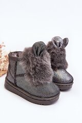 Žieminiai batai mergaitėms 056384371, pilki kaina ir informacija | Aulinukai vaikams | pigu.lt