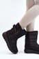 Žieminiai batai moterims, juodi цена и информация | Aulinukai, ilgaauliai batai moterims | pigu.lt
