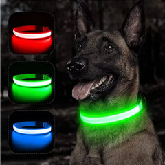 Светящийся ошейник для собак с LED-подсветкой, зеленый, 1 шт цена и информация | Ошейники, подтяжки для собак | pigu.lt