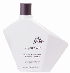 Atstatomasis šampūnas plaukams L'Alga Seawet Shampoo, 250 ml kaina ir informacija | Šampūnai | pigu.lt
