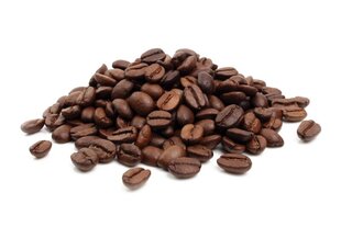 Breville PrimaLATTE kaina ir informacija | Kavos aparatai | pigu.lt