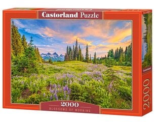 Dėlionė Castorland Ryto žiedai - peizažas, 2000 d. kaina ir informacija | Dėlionės (puzzle) | pigu.lt